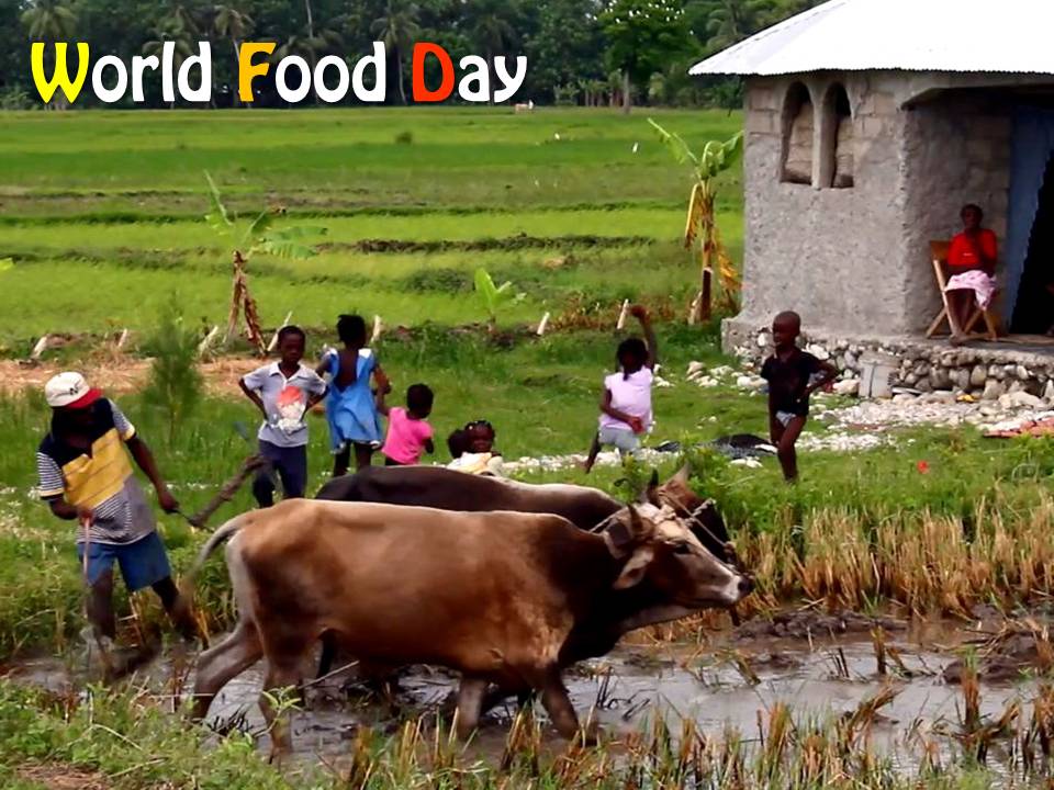 國合會響應10月16日《世界糧食日》影音短片(2014)