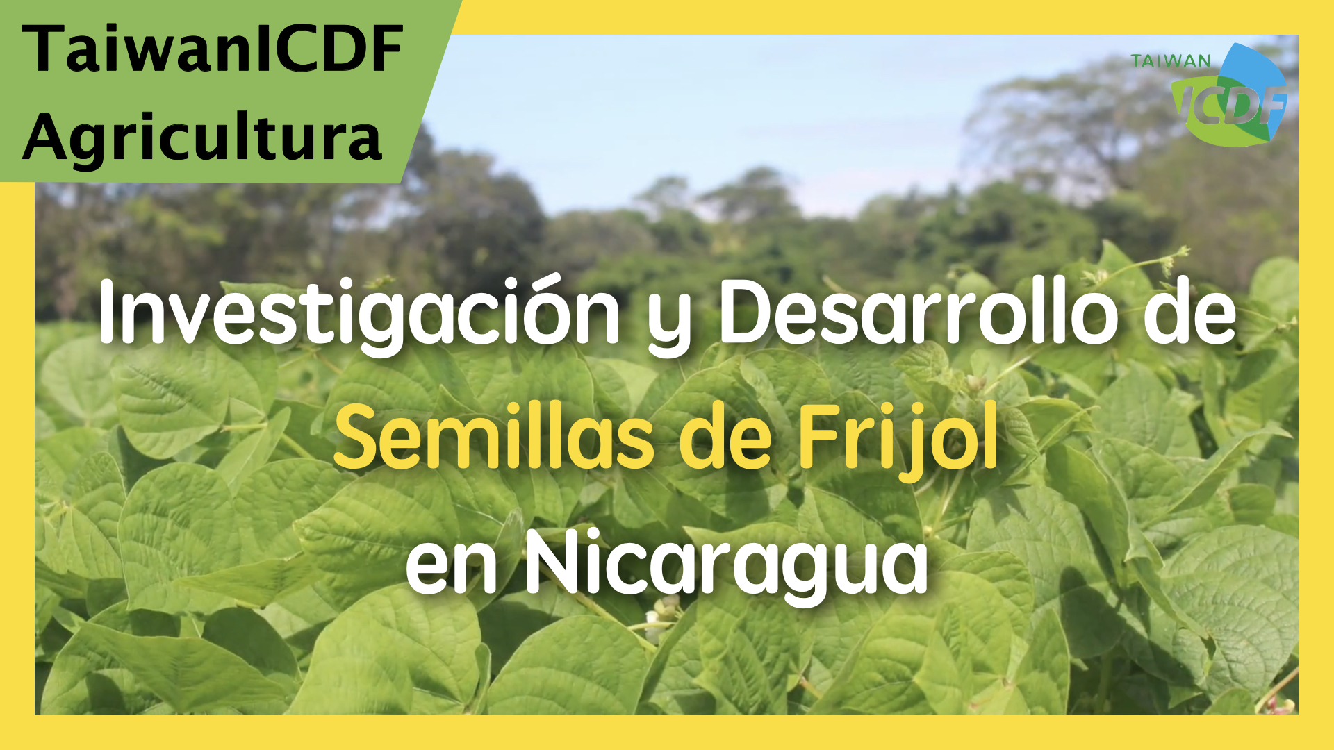 Proyecto de Investigación y Desarrollo para el Fomento de la Productividad de la Semilla de Frijol en Nicaragua