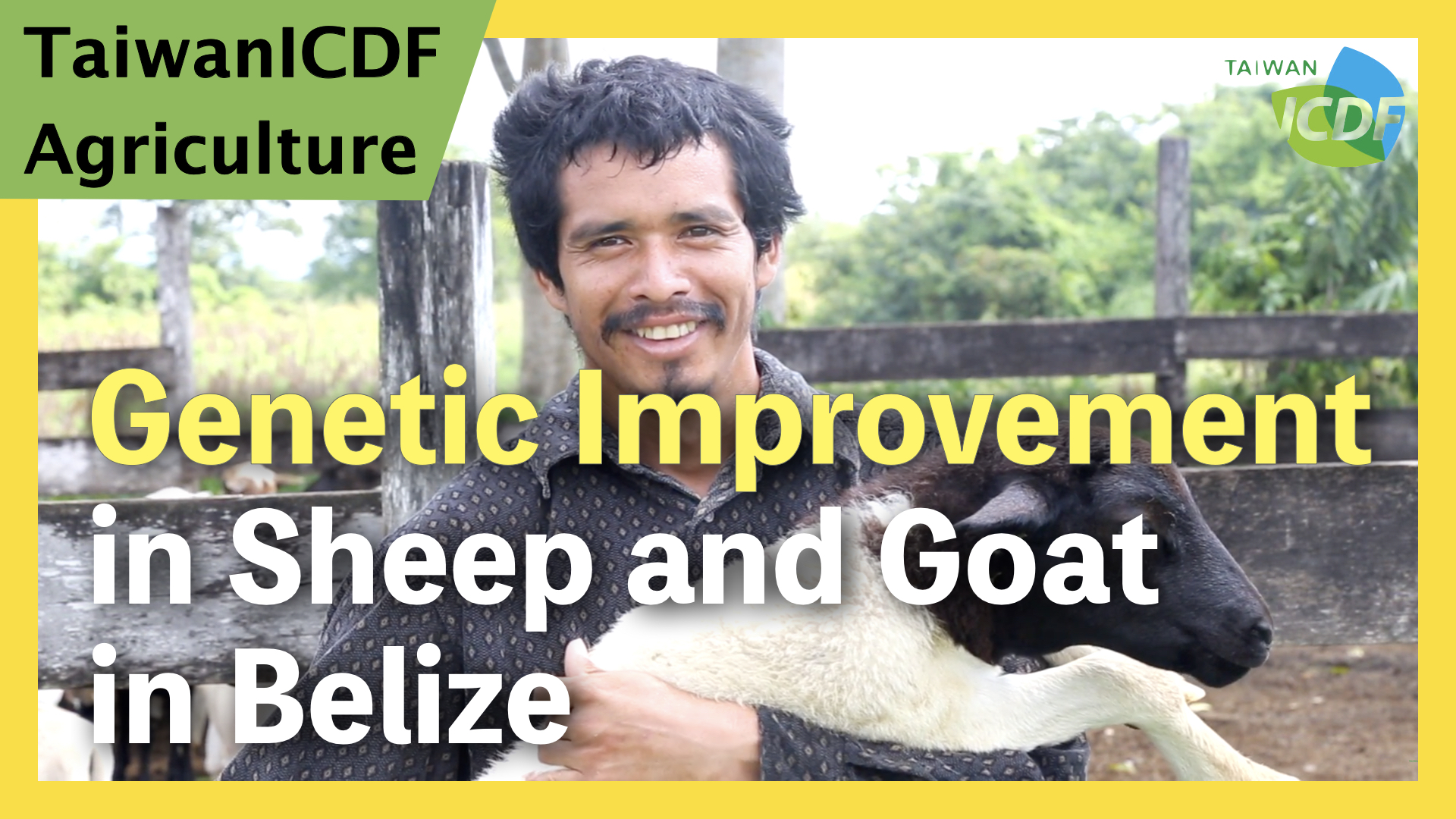 Genetic Improvement in Sheep and Goat Project (Belize)