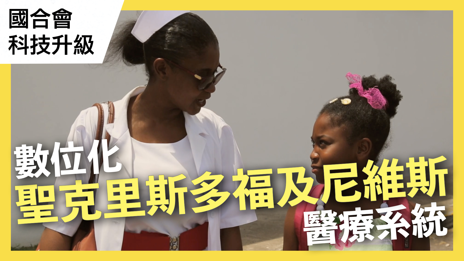 聖克里斯多福及尼維斯資通訊計畫