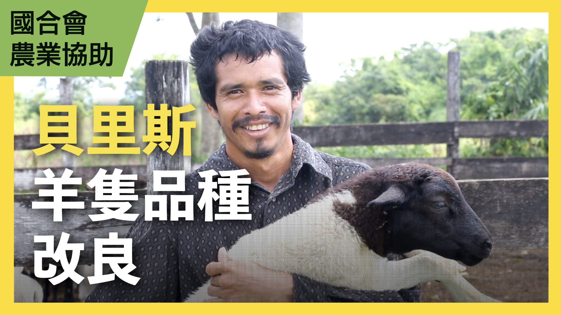 貝里斯羊隻品種改良計畫