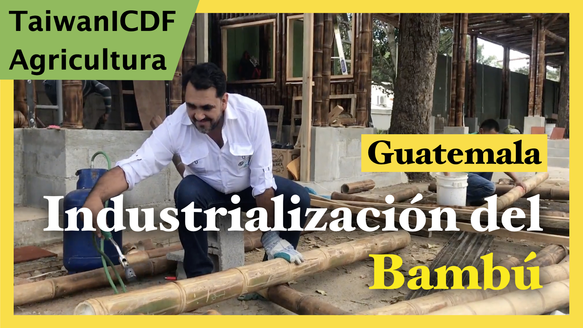 Proyecto de Industrializaci&oacute;n del Bamb&uacute; en Guatemala