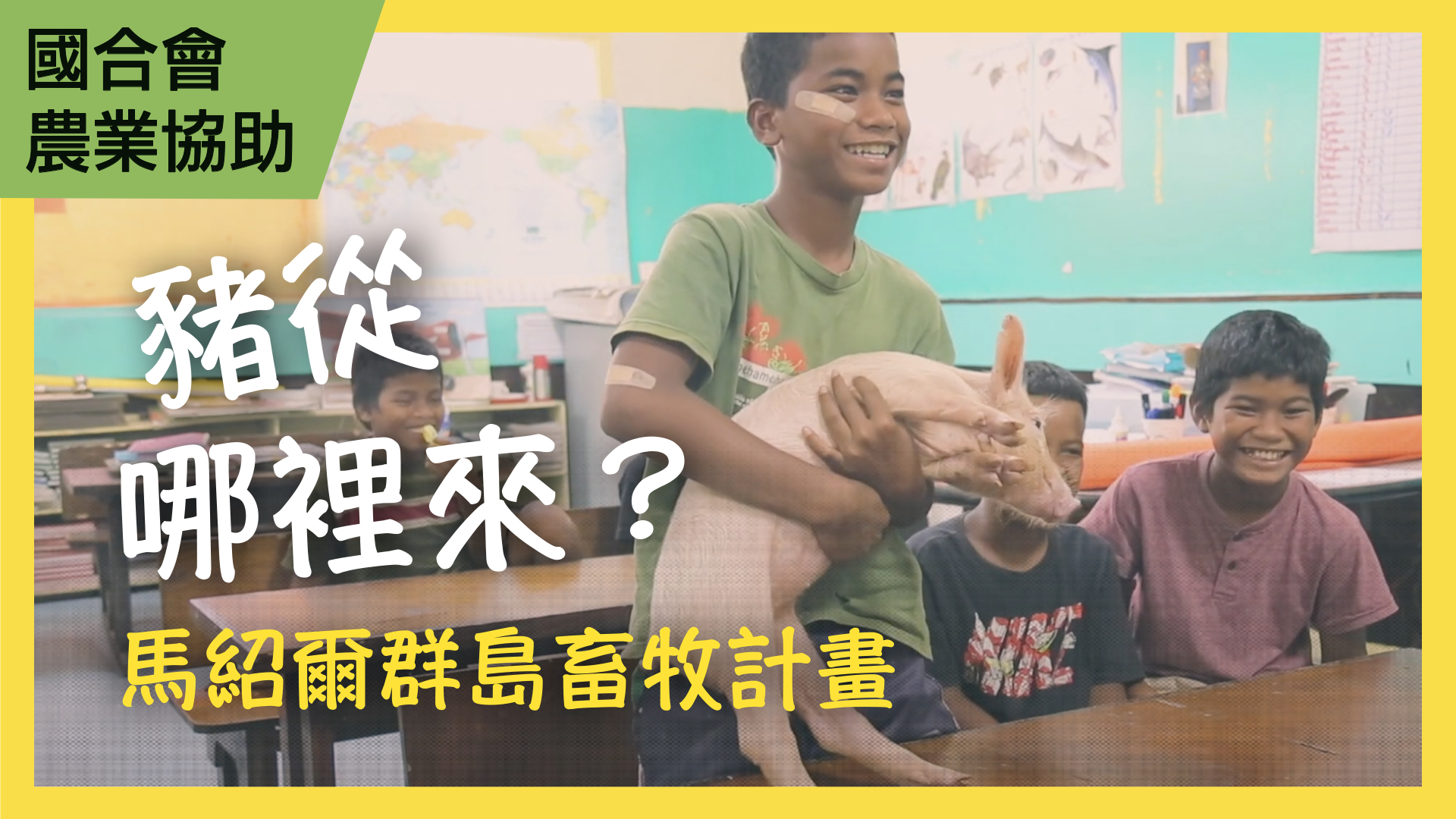 豬從哪裡來-馬紹爾群島畜牧計畫