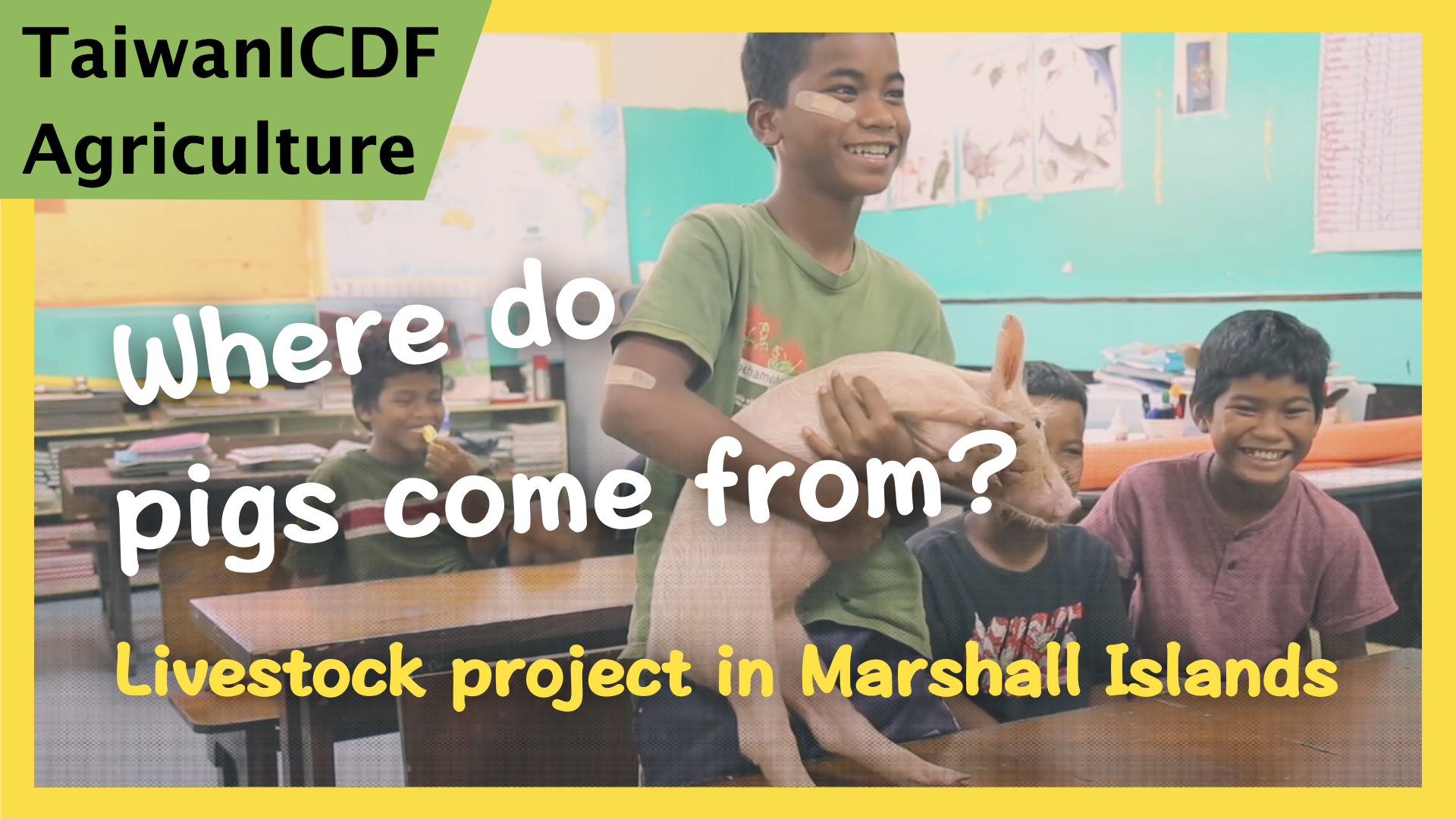 Where do pigs come from?-Livestock Project (Marshall Islands)