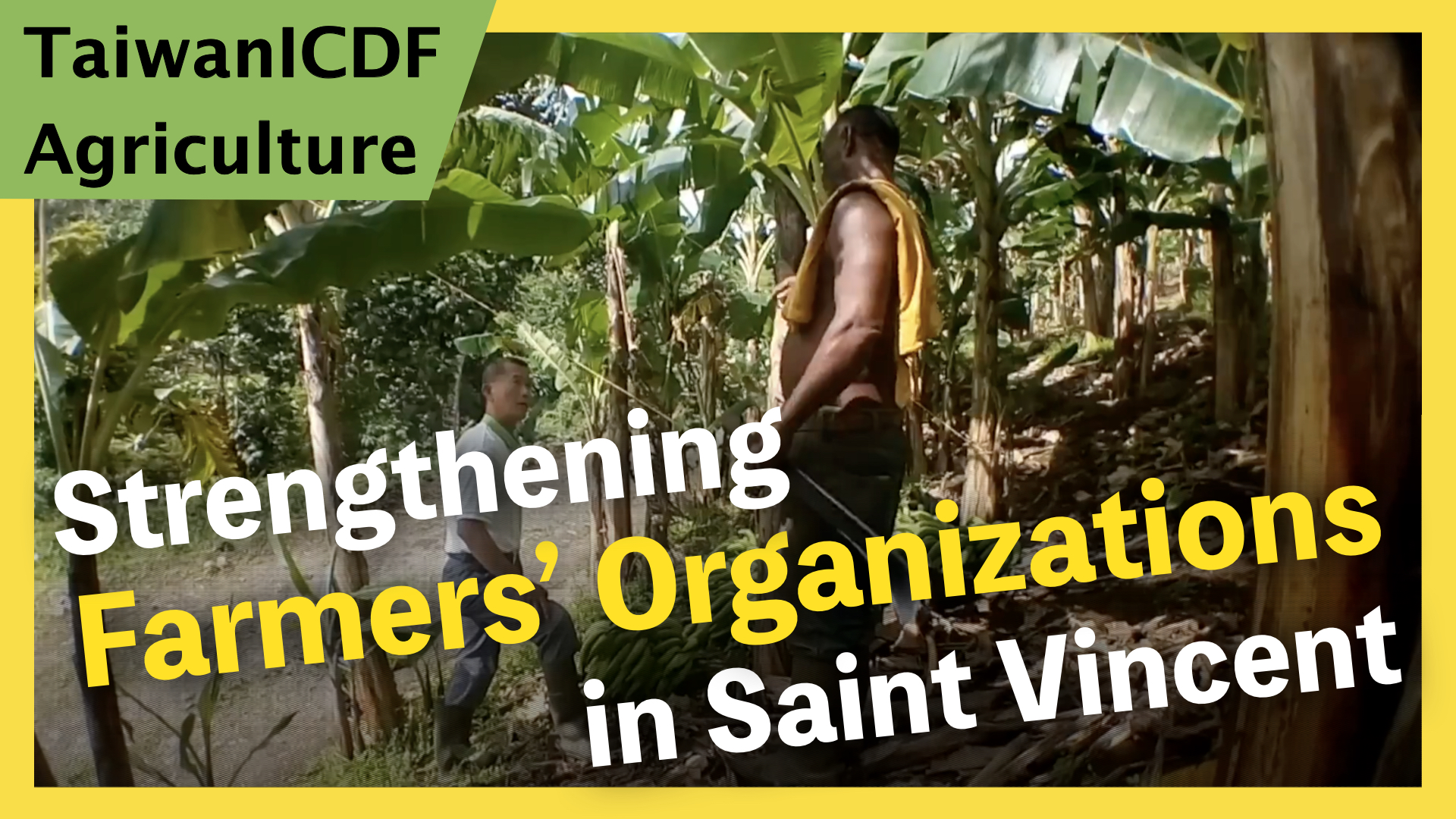 Project for Strengthening Farmers’ Organizations in Saint Vincent and the Grenadines