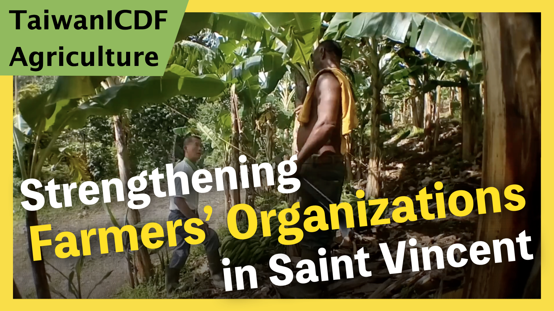 Project for Strengthening Farmers&rsquo; Organizations in Saint Vincent and the Grenadines