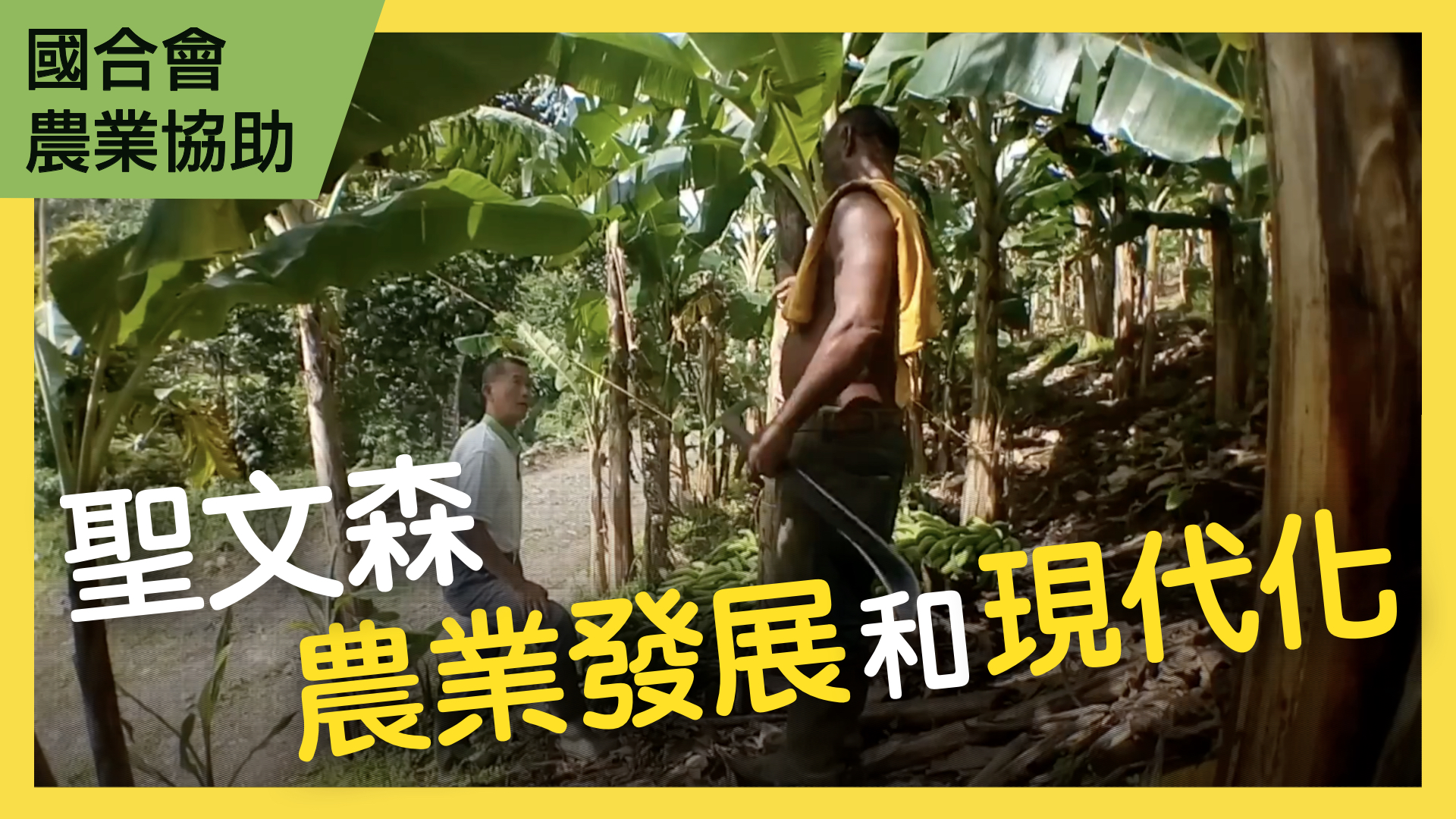 聖文森強化農民組織暨提升蔬果生產技術計畫