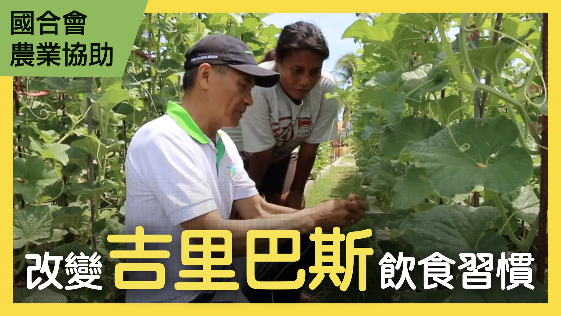 吉里巴斯營養提升計畫
