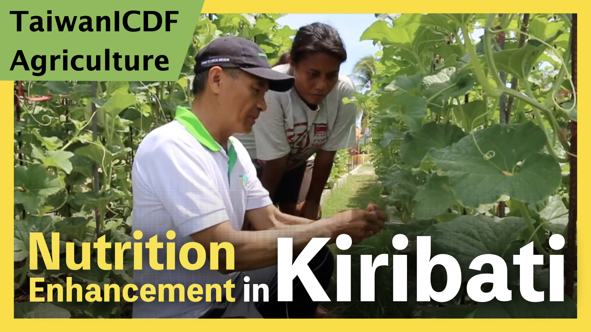Nutrition Enhancement Project (Kiribati)