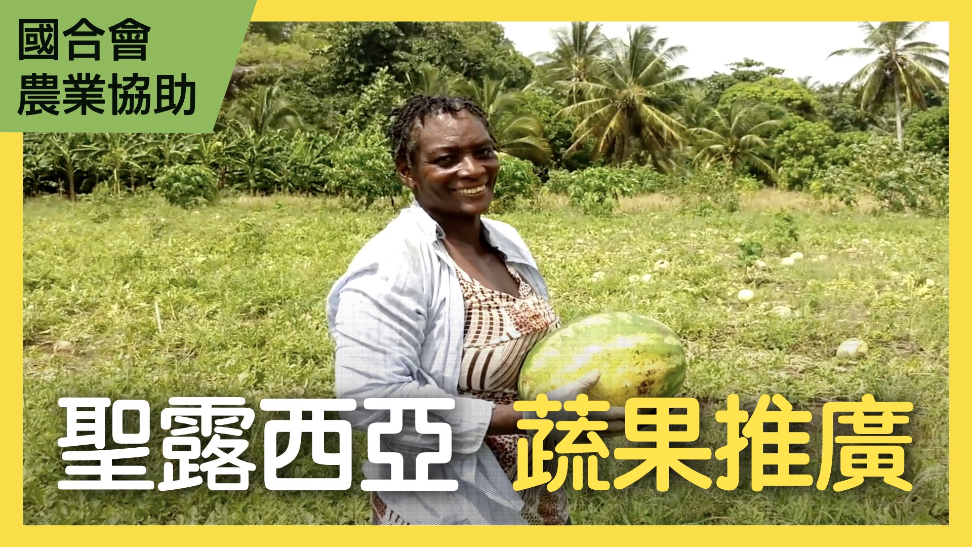 聖露西亞果蔬示範與推廣計畫第二階段
