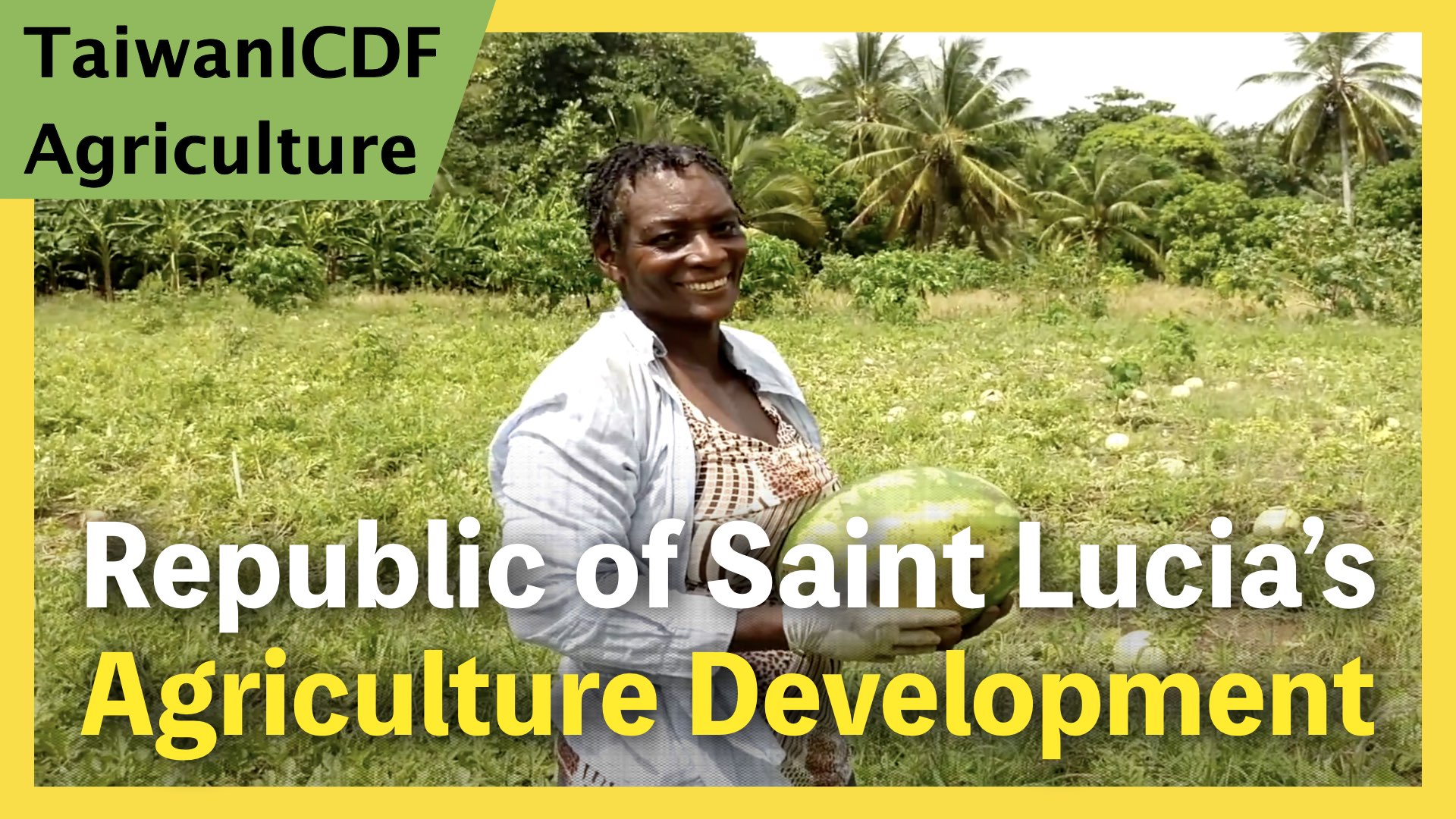 Fruit and Vegetable Demonstration and Extension Project (St.Lucia)