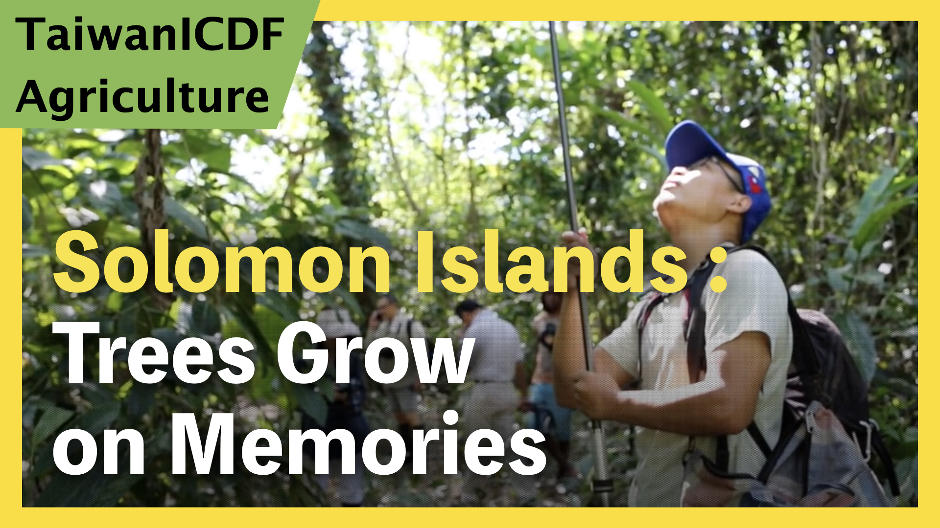 Solomon Islands：Trees Grow on Memories