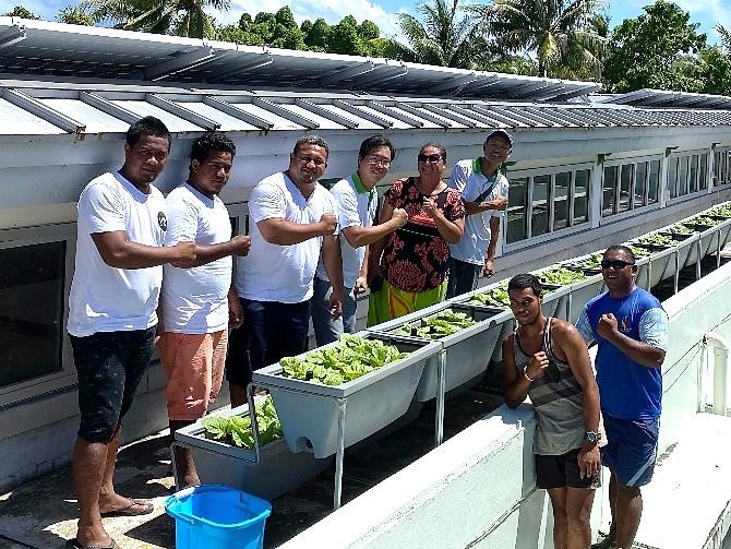 國合會協助吐瓦魯首都醫院設置首座蔬果農場，攜手照護病患營養健康