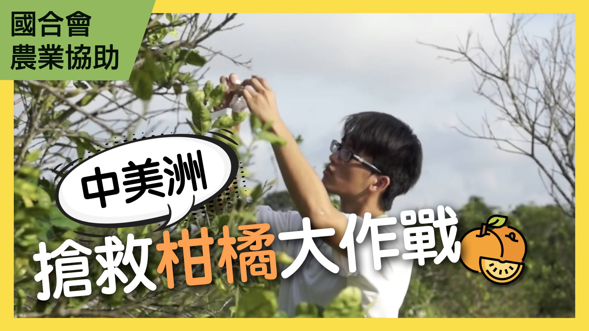 搶救柑橘大作戰