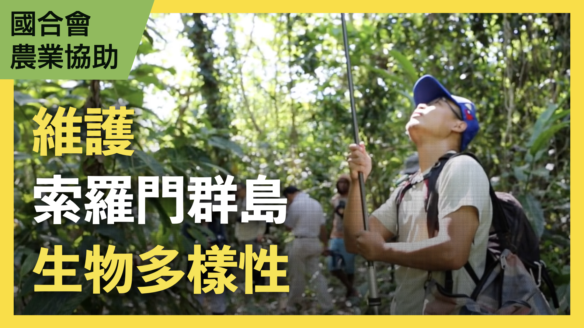 留住森林的記憶-國合會「索羅門群島資源植物調查暨植物誌編纂計畫」