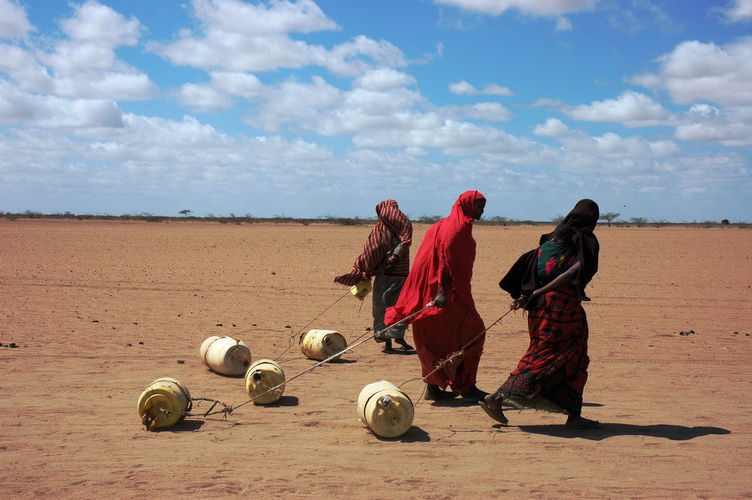 TaiwanICDF, Mercy Corps to Implement Drought-Relief Program in Kenya, Horn of Africa