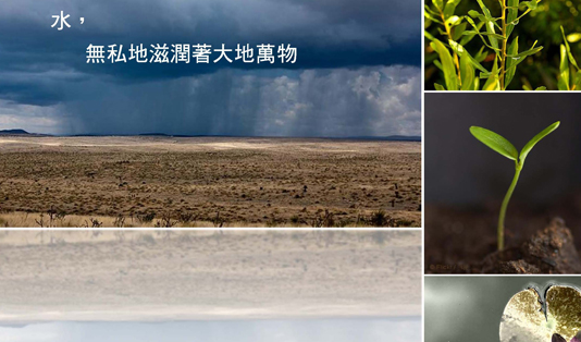 愛無國界: (1) 關懷篇 (2012)