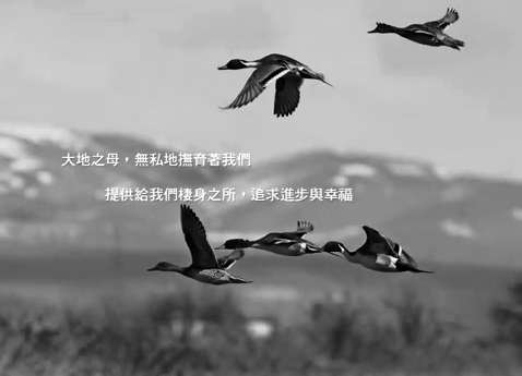 Love Without Borders: (2) Sustainability (2012)