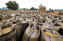 國際開發援助現場Vol.75 貿易與糧食安全