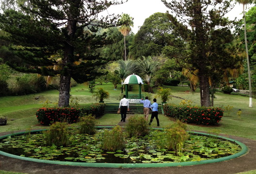 Combining Foreign Aid and Conservation, TaiwanICDF to Assist Plant Conservation in St. Vincent and the Grenadines