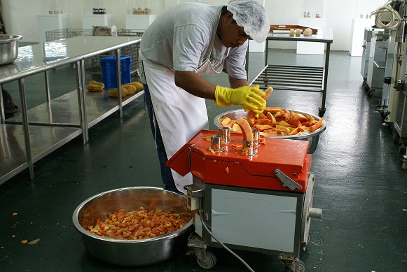 Small Farmholders’ Financing Scheme for Export Papaya Production in Belize Helping Small-scale Farmers to Support Themselves