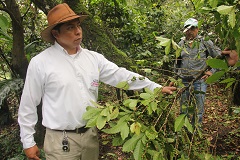 TaiwanICDF and CABEI Assist Central American Countries to Combat Coffee Rust Disease