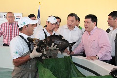 TaiwanICDF assists friendly ally in improving Pacu propagation and breeding techniques, as witnessed by the President of Paraguay