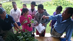 Taiwan Technical Mission in Palau develops school meals for students