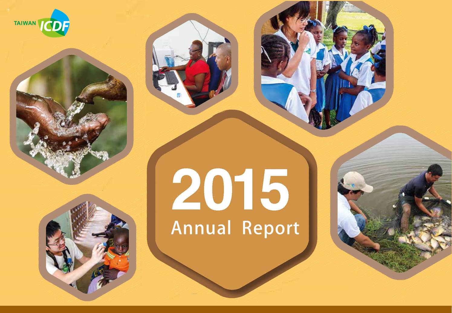 TaiwanICDF 2015 Annual Report in short video