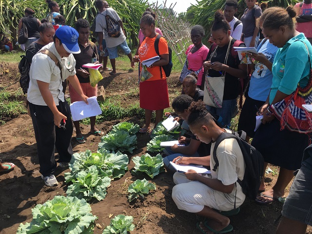 Boosting health of children in South Pacific Islands through school farming