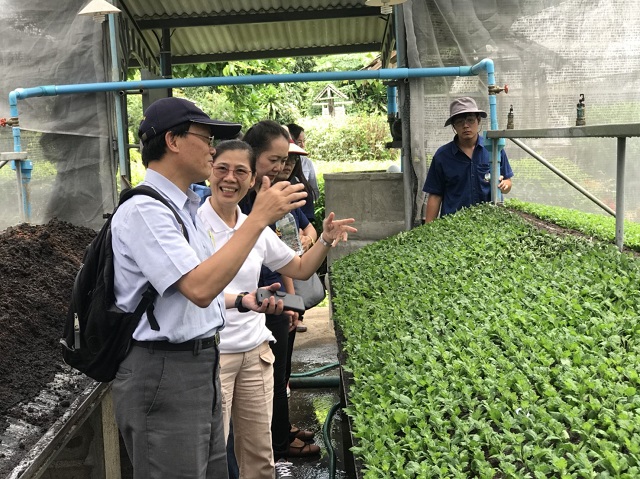 TaiwanICDF assists Thailand’s Royal Project Foundation in improving floral breeding, propagation and post-harvest technology