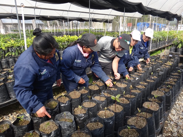 President of Honduras praises Taiwan Youth Overseas serviceman for his work on market analysis of Honduras’ avocados