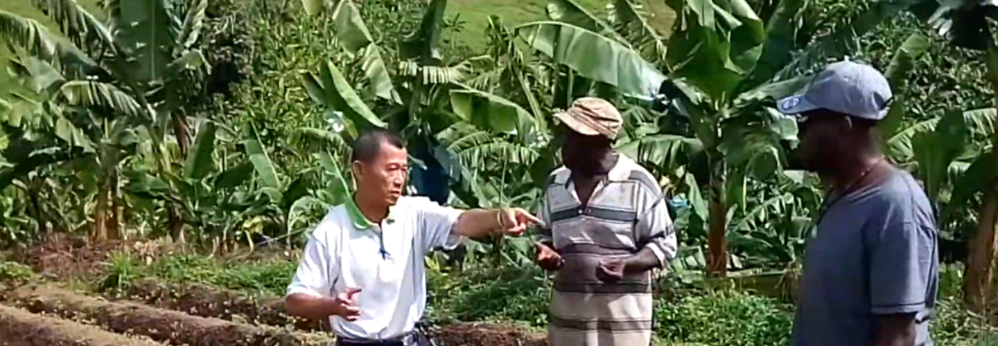 聖文森強化農民組織暨提升蔬果生產技術計畫
