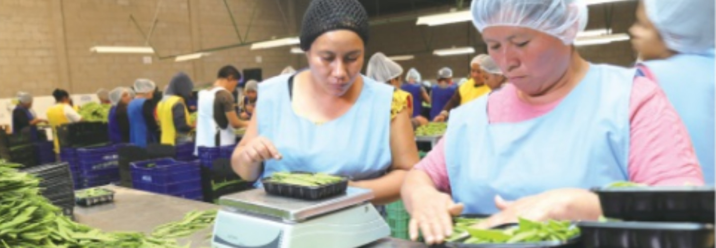 瓜地馬拉農企業營運輔導功能提升計畫