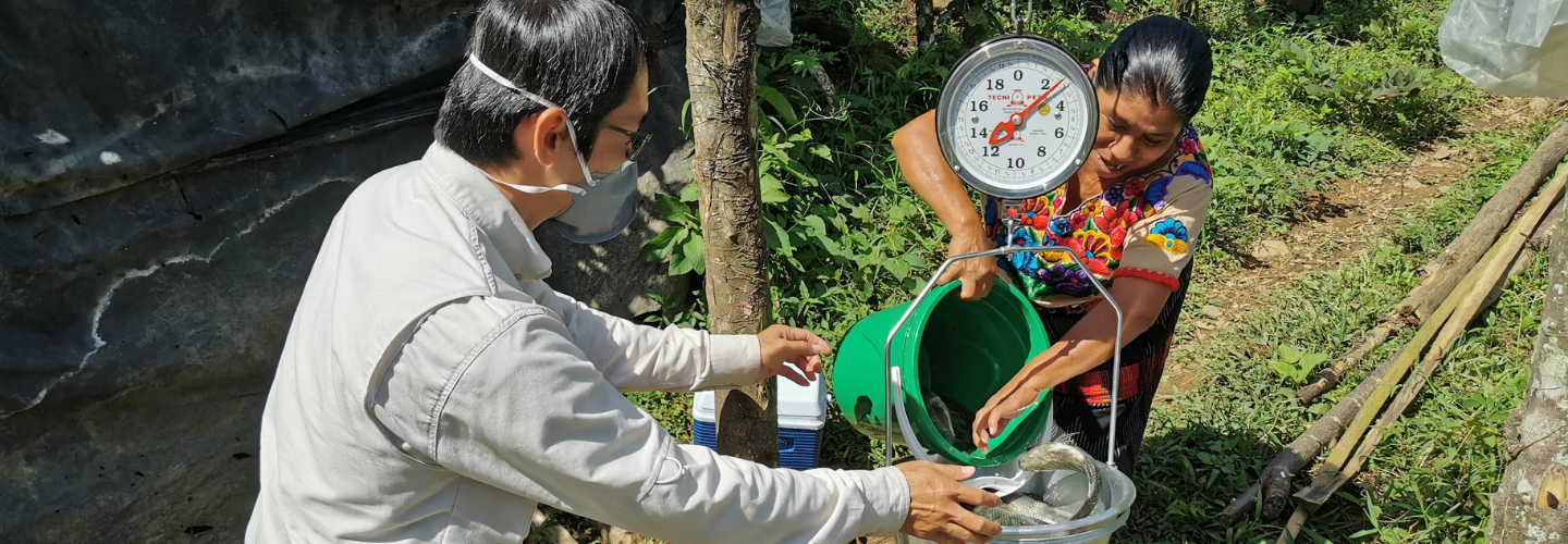 Aquaculture and Farm Product Processing Technology Improvement Project (Guatemala)