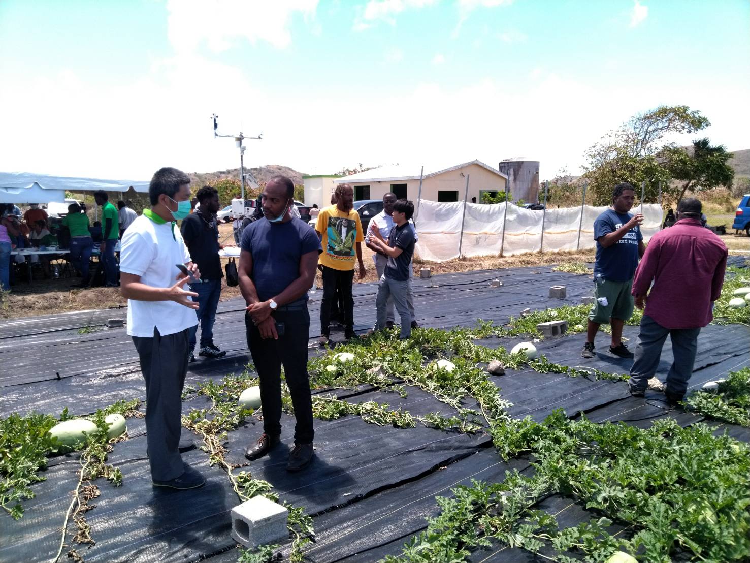 St. Kitts and Nevis Enhancing Agricultural Adaptive Capacity to Climate Variability Project