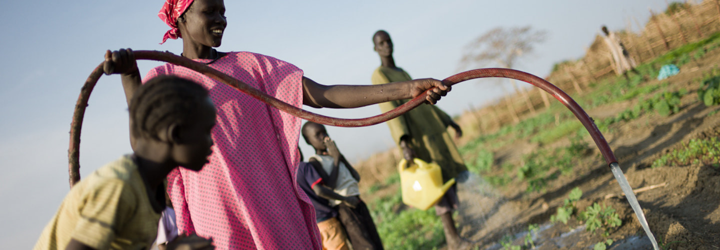 南蘇丹阿比耶地區難民糧食安全支援計畫