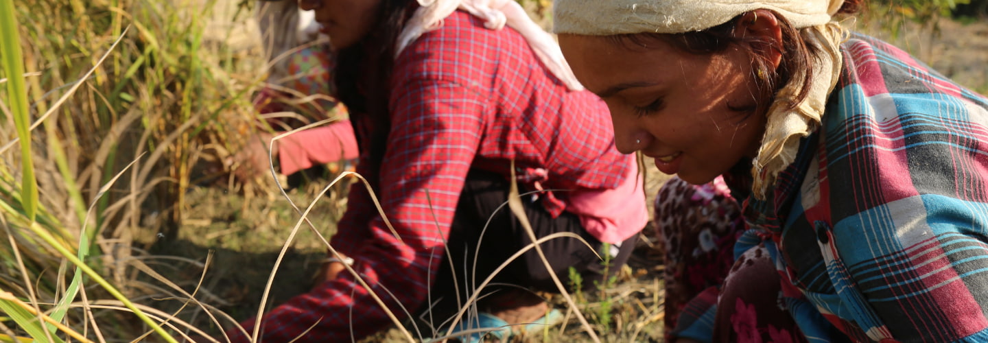 尼泊爾廓爾克縣(Gorkha)糧食安全及生計支援計畫