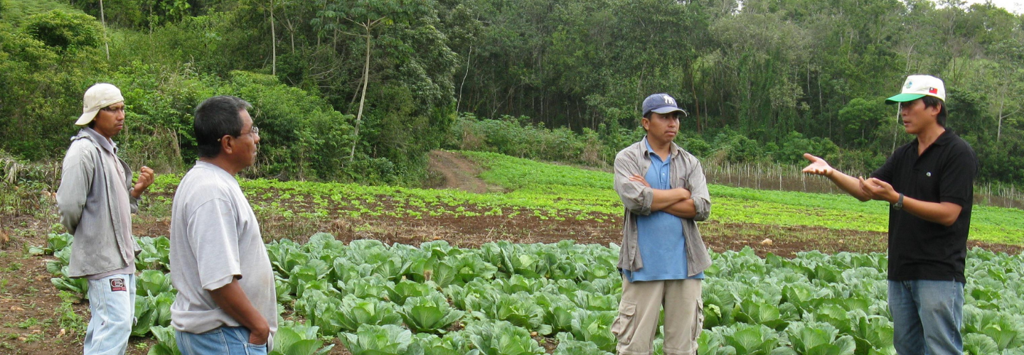 Horticulture Project (Belize)