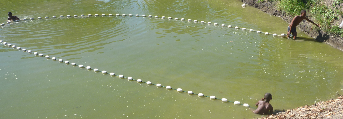 Aquaculture Project (Haiti)