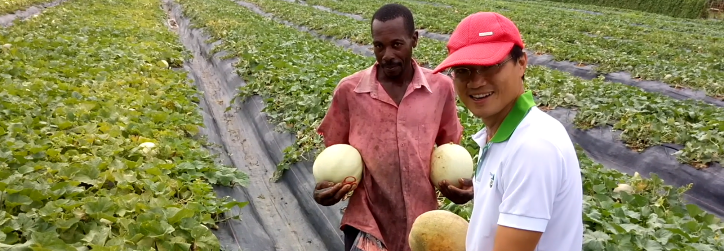 Fruit and Vegetable Demonstration and Extension Project (St. Lucia)