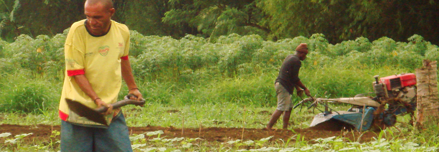 巴布亞紐幾內亞農業綜合發展計畫