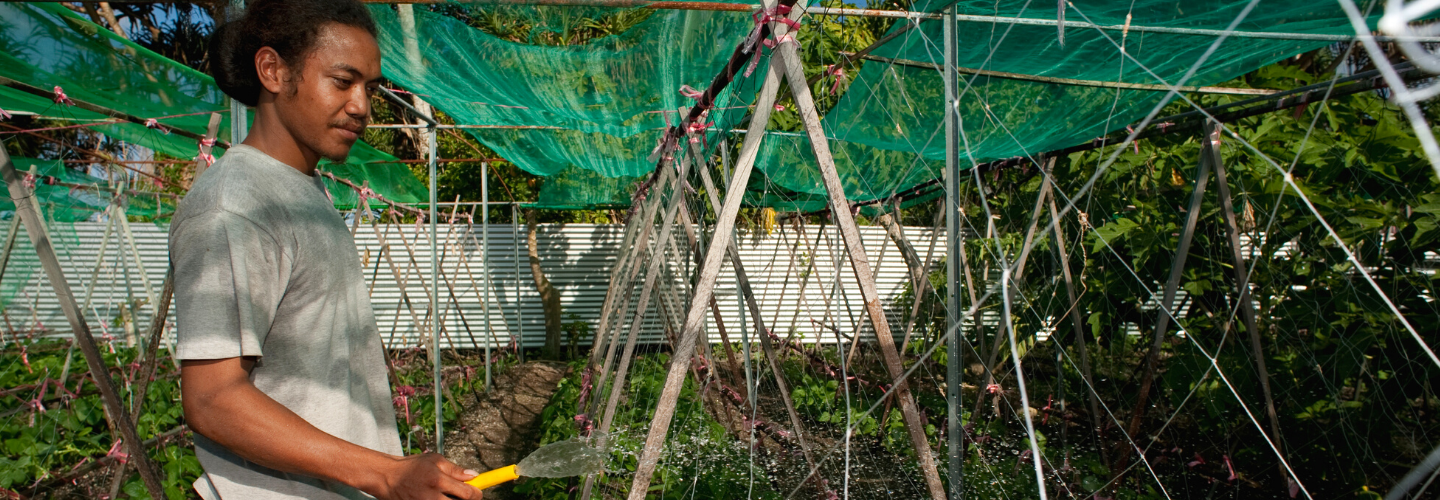 Horticultural Crop Development Project (Tuvalu)