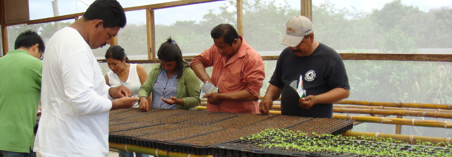厄瓜多農業產銷合作計畫