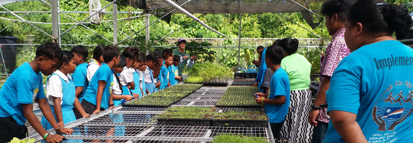 Enhancing Nutrition Balance Through Agricultural Production Project (Marshall Islands)