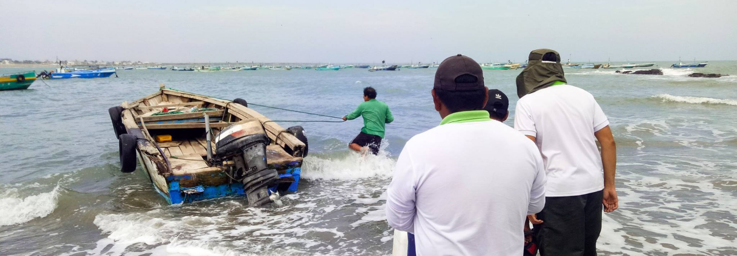 Oyster Cultivation Development Project (Ecuador)