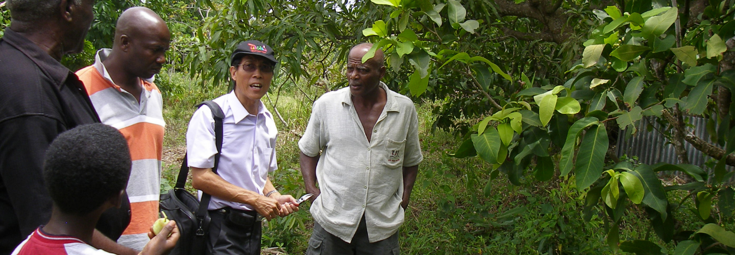 Project for enhancing the efficiency of production-distribution supply chain in fruit and vegetable sector in St. Lucia