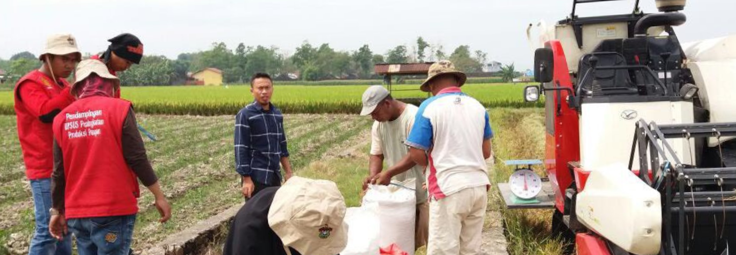 印尼南蘇拉威西優良稻種發展計畫