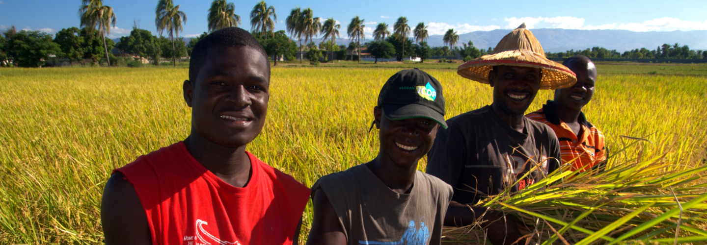海地全國稻種生產強化計畫-阿迪波尼省子計畫