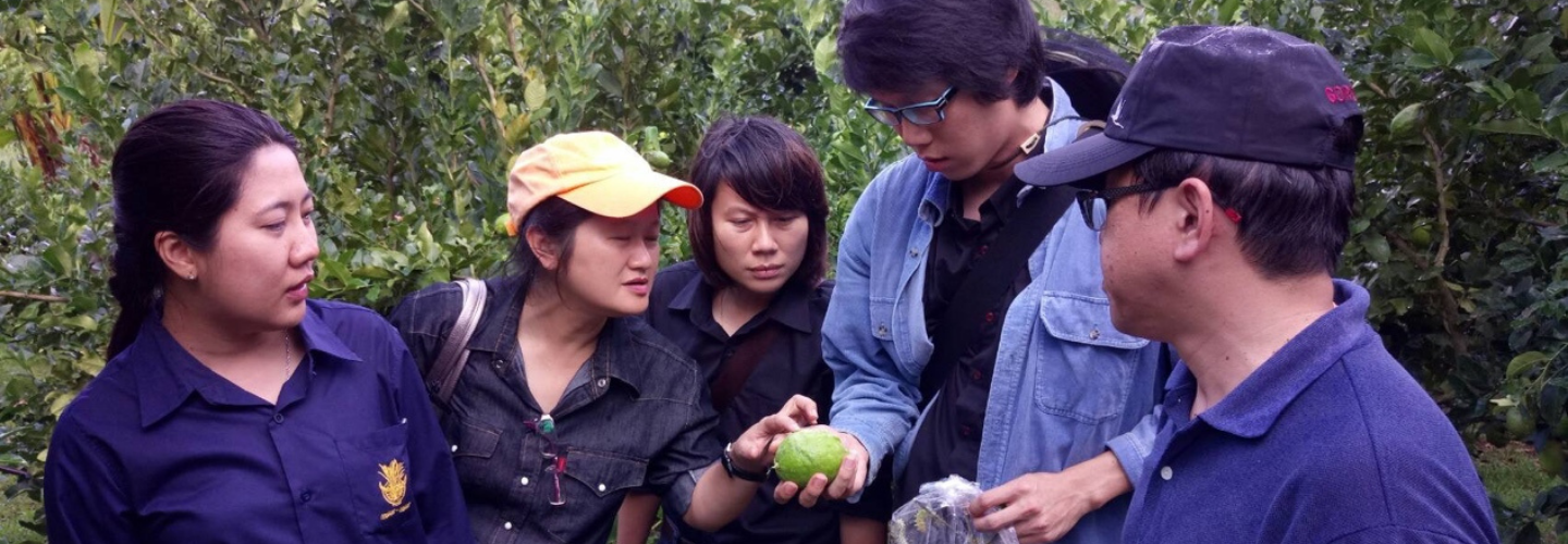 泰國皇家計畫基金會蔬果病蟲害綜合防治計畫